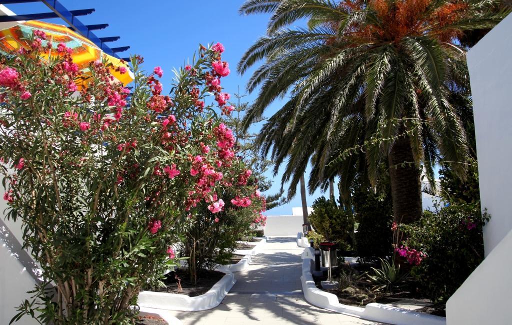 Apartamentos Playamar Puerto del Carmen  Exterior photo